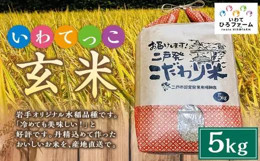 令和7年産 いわてっこ 玄米 5kg ／ 米 お米 ご飯 飯 こめ コメ 産地直送 産地 直送 岩手県産 国産