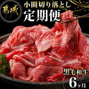 【ふるさと納税】黒毛和牛！小間切り落とし6ヶ月定期便≪1.2kg×6回≫ - 黒毛和牛 小間切り落とし 600g×2パック 6ヶ月間毎月お届け 定期便 牛肉 切り落とし 急速冷凍 送料無料 TAC6-4201【宮崎県都城市は2年連続ふるさと納税日本一！】