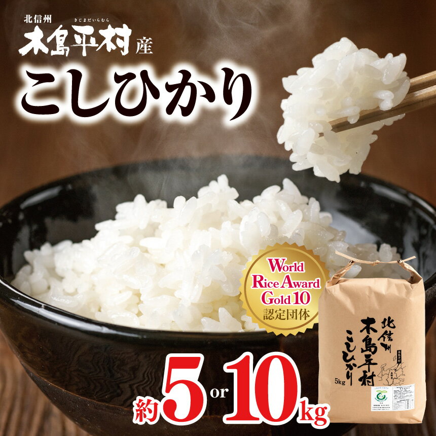 【ふるさと納税】木島平産コシヒカリ 約5kg/約10kg（吉川昭さん） | 米 白米 精米 特別栽培米 コシヒカリ こしひかり お米 おこめ 減農薬 長野県 木島平村 信州