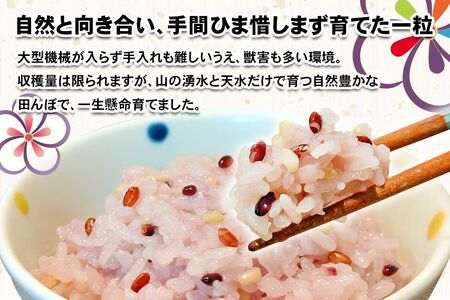 [農薬不使用] 里山の自然で育てた「禅寺の色々米」計600g (300g×2袋) [0692]