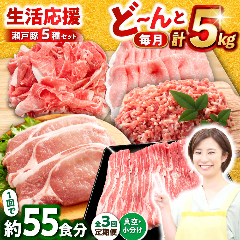 【ふるさと納税】【全3回定期便】瀬戸豚 生活応援セット 計5kg / 豚肉 小分け しゃぶしゃぶ セット / 瀬戸市 / 関屋精肉店[BBBQ216]