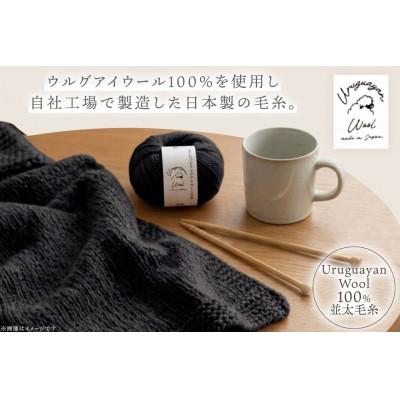 ふるさと納税 江南市 あみもねっと ウルグアイウール並太 31番色 10玉セット |  | 01