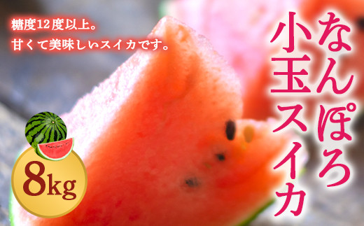 【8月発送】北海道産 小玉スイカ 8kg なんぽろ小玉すいか 令和7年度産 8月発送開始 南幌町 NP1-270