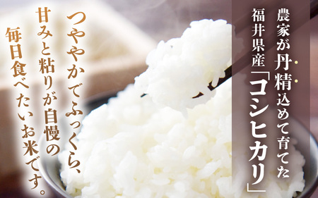 令和8年産 坂井市産 コシヒカリ 10kg (5kg×2袋) 【白米】2026年10月上旬以降順次発送 米 コメ お米 福井こしひかり [A-10219_01]