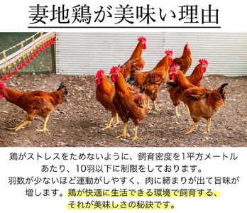 妻地鶏鍋セット45　3～4人前＜1.5-115＞