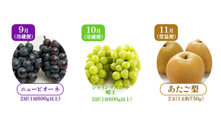 ぶどう 梨 定期便 2026年 先行予約 フルーツ王国 岡山を堪能 定期便 3回 岡山 ぶどう 梨