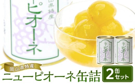 岡山県産 ニューピオーネ 缶詰 ２缶【缶 詰合せ セット ピオーネ くだもの フルーツ 果物 フルーツ缶 葡萄 ぶどう おすすめ 岡山県 】