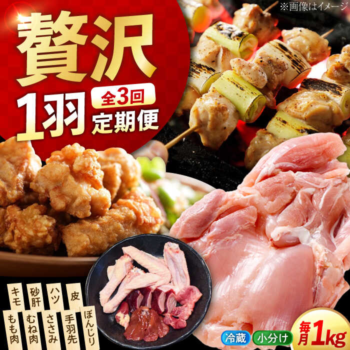 【ふるさと納税】【全3回定期便】うまさが違う！ せとうち育ちの江田島産地鶏 一黒シャモ一羽パック(合計約1kg) 鶏 人気 肉 グルメ 取り寄せ プレゼント 広島県産 江田島市/ポーク＆チキン江田島[XAH005] 鶏肉 精肉 とり肉 鳥 もも むね モモ ムネ 若鶏 地鶏 小分け パック