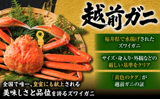 【先行予約/3月配送】訳アリ 脚折れあり 越前がに 600ｇ×1ハイ 小浜市 / まるほ商店【配送不可地域：北海道・沖縄・離島】 [BFCS062-3]