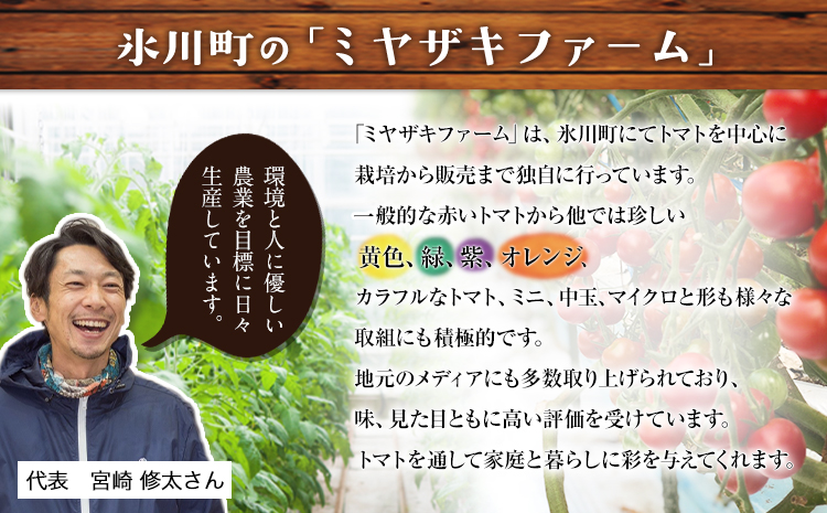 「ミヤザキファーム」 宝石とまと 熊本県氷川町産《12月上旬-6月末頃出荷予定》 小鈴 アイコ イエローアイコ オレンジ千果 みどりちゃん セレブスイート グリーンゼブラ 桃太郎ゴールド トスカーナバ