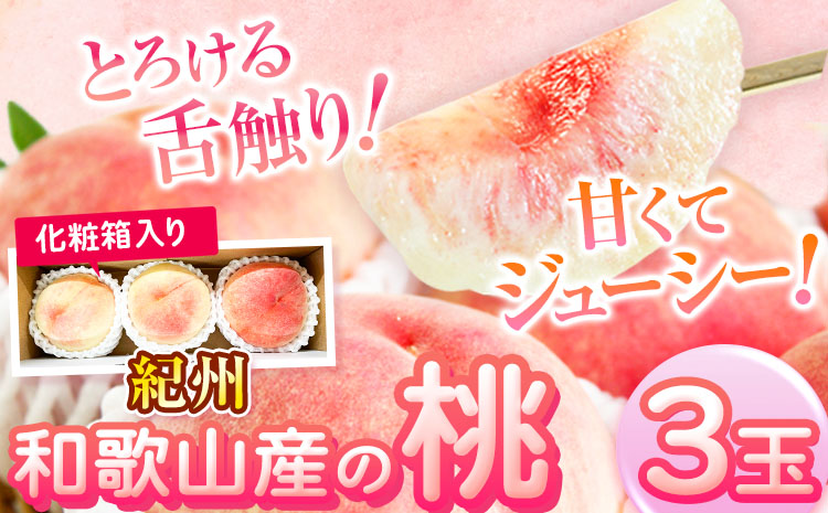 桃 もも 紀州 和歌山産 の 桃 3玉 化粧箱入 魚鶴商店《2027年6月下旬-8月上旬より発送予定》  和歌山県 日高町 贈り物 ギフト---wsh_cuot115_6g8j_25_11000_3t---