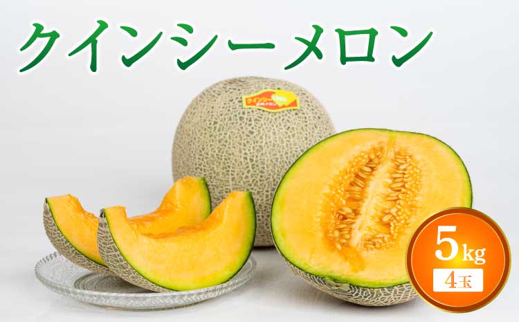 【2025年4月下旬から5月上旬発送予定】【サンサンうきっ子宇城彩館】クインシーメロン 4玉入り 合計約5kg