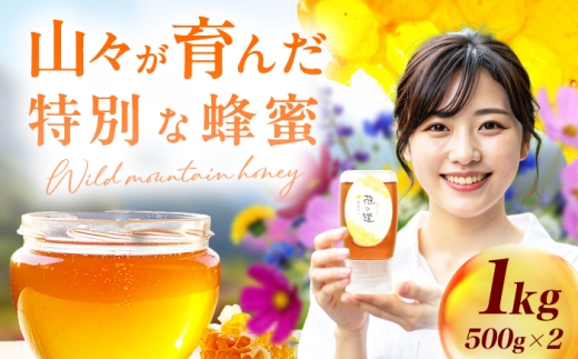 野山みつ 2本（500g×2）　広川町 / 株式会社九州蜂の子本舗 [AFAI047]