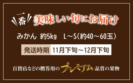 【先行予約】香川県オリジナルみかん 「金時紅」 約5kg_M02-0024