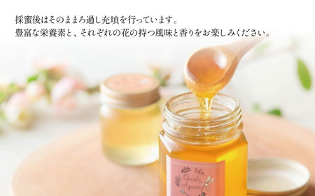 大西養蜂場 非加熱はちみつ そば さくら 60g 各2本 ／ はちみつ 蜂蜜 ハチミツ 国産 【大西養蜂場】
