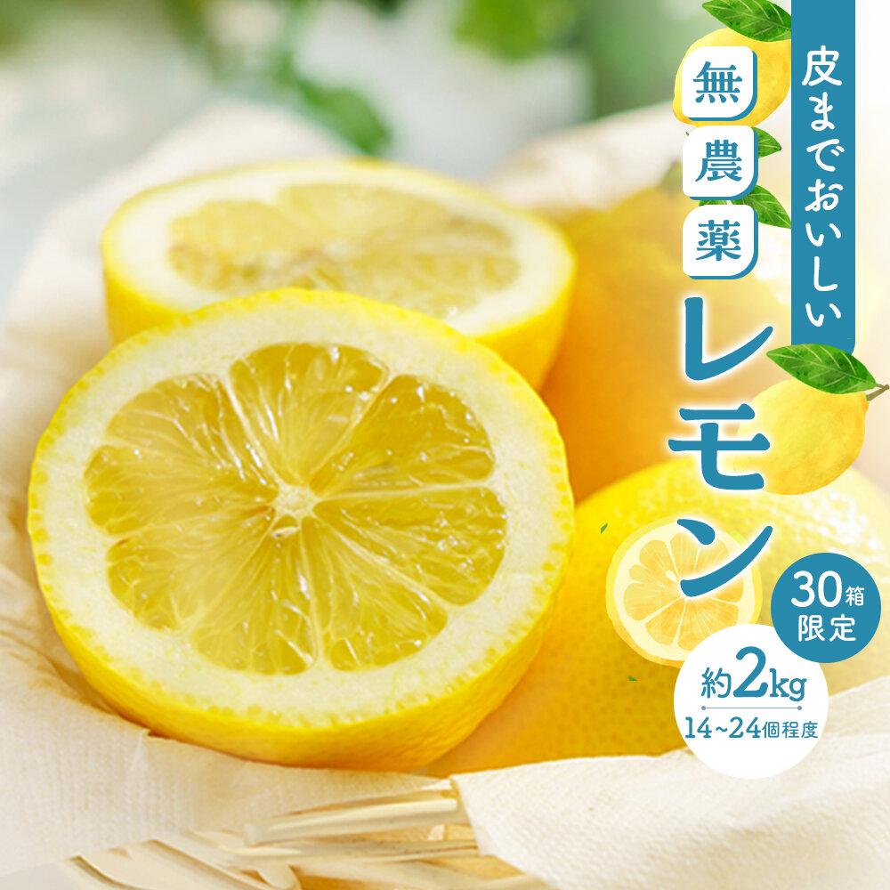 【ふるさと納税】皮まで美味しい無農薬レモン 約2kg | 瀬戸田 瀬戸田レモン 檸檬 瀬戸内レモン フルーツ 柑橘 シトラス 無農薬 有機肥料 防腐剤不使用 レモネード はちみつ 尾道市 広島