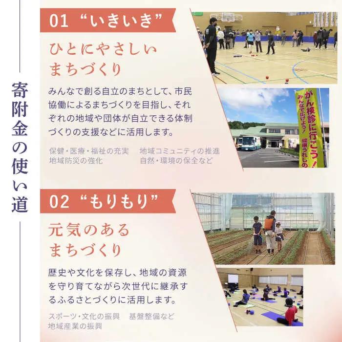 佐賀県嬉野市まちづくり応援寄附金 50万円分 NZY975 嬉野市 寄附金
