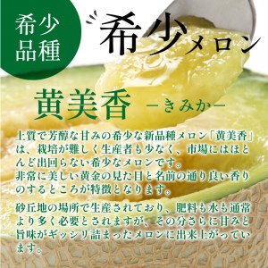 メロン／果物	【先行予約／数量限定50】希少品種 黄美香（きみか）メロン 2玉（2026年7月下旬～発送）希少メロン 限定メロン フルーツ・メロン2玉・果物