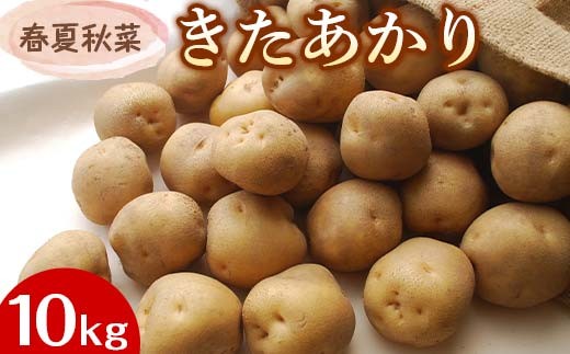 『春夏秋菜』きたあかり10kg 2026年9月より順次発送 じゃがいも ジャガイモ EB8-0197
