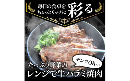 レンジで簡単ハラミ焼肉　250g×10食セット　（総重量2.5kg）野菜入り_mk146-238