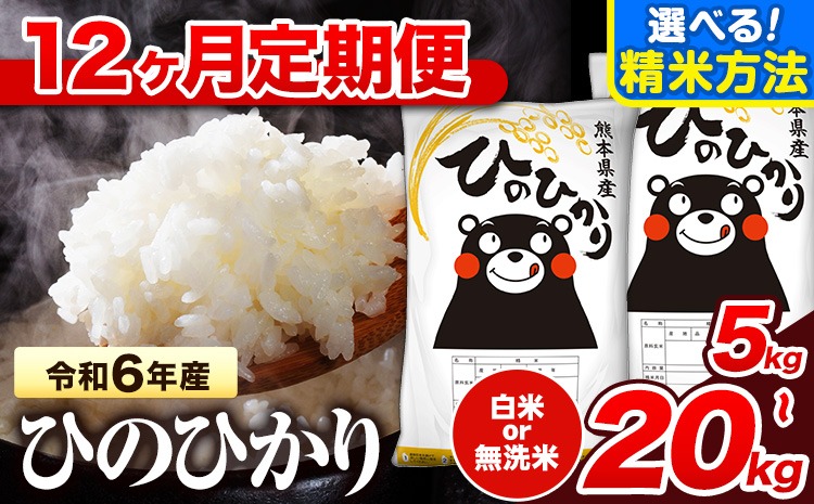 令和6年産 【12ヶ月定期便】無洗米 も選べる 白米 米 ひのひかり  5kg 10kg  15kg  20kg 《お申し込み月の翌月から出荷開始》熊本県 氷川町 国産 熊本県産 白米 精米 無洗米 送料無料 ヒノヒカリ こめ お米 ---hn6tei_180000_5kg_mo12_hkw_h---