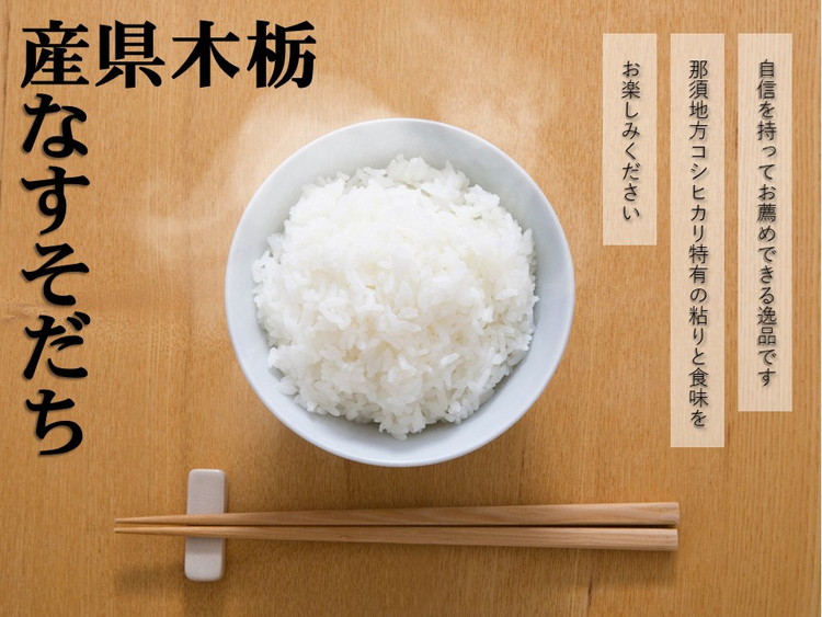 令和7年産 栃木県産 コシヒカリ なすそだち 5kg JAなすの産地直送【大田原市・那須塩原市・那須町共通返礼品】〔P-237〕 ｜ 米 コメ こめ 白米 精米 新米