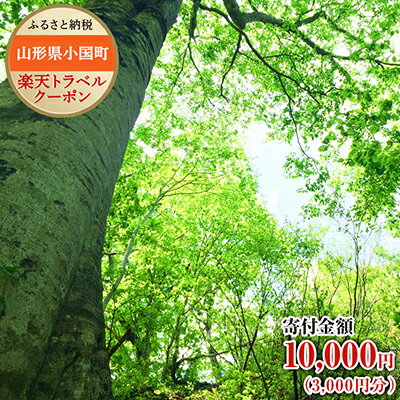 【ふるさと納税】山形県小国町の対象施設で使える楽天トラベルクーポン寄付額10,000円（クーポン額3,000円）