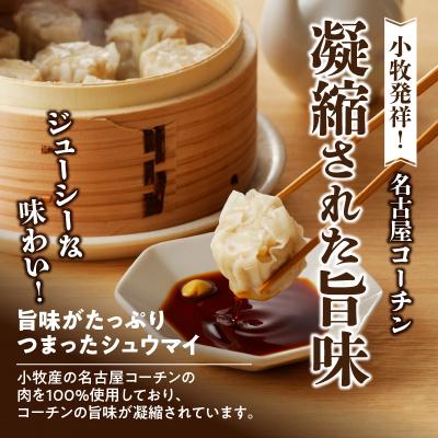 ふるさと納税 小牧市 名古屋コーチン肉100%使用 シュウマイ80個(20個×4箱)[003D05] |  | 01