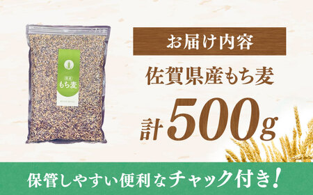 佐賀県産 もち麦500g / 佐賀県 / 一般社団法人龍乃 [41ANAC105]