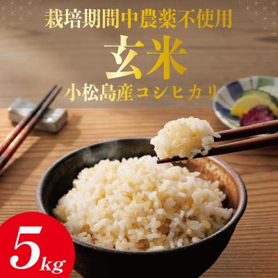 ふるさと納税 小松島市 【栽培期間中農薬不使用】玄米 5kg コシヒカリ  令和7年産 米 こめ ご飯 ごはん