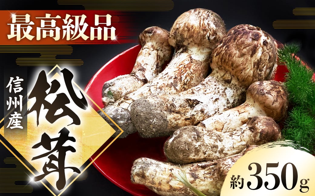 
            G-2 秋の味覚の王様「松茸」350g以上
          