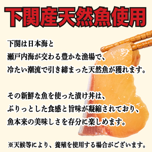 海鮮漬け丼(3種×2)6パック 酒の肴に海鮮丼に茶漬けに飯ともに EY