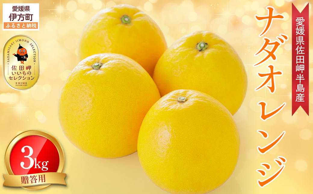 
                  【農家直送】愛媛県産 ナダオレンジ 贈答用 3kg（2026年5月中旬より順次発送予定） 【 ふるさと納税 人気 おすすめ ランキング 柑橘 蜜柑 みかん ミカン 果物 フルーツ 河内晩柑 ナダオレンジ オレンジ 贈答 贈り物 贈答用 ギフト 愛媛県 伊方町 送料無料 】 IKTC005
                