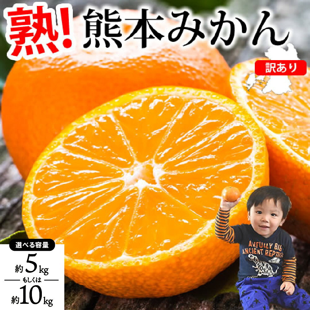 【ふるさと納税】先行予約 訳あり みかん 【選べる内容量】約5kg もしくは 約10kg 【2026年10月上旬から2027年2月中旬までに発送予定】熊本みかん ミカン 蜜柑 柑橘 熊本県 宇城市 送料無料 株式会社Foody’s