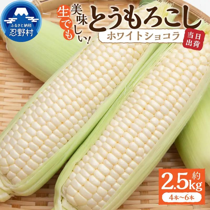 【2026年先行予約】富士北麓忍野村の気候、水、自然で作られた朝採りトウモロコシ【ホワイトショコラ】約2.5kg