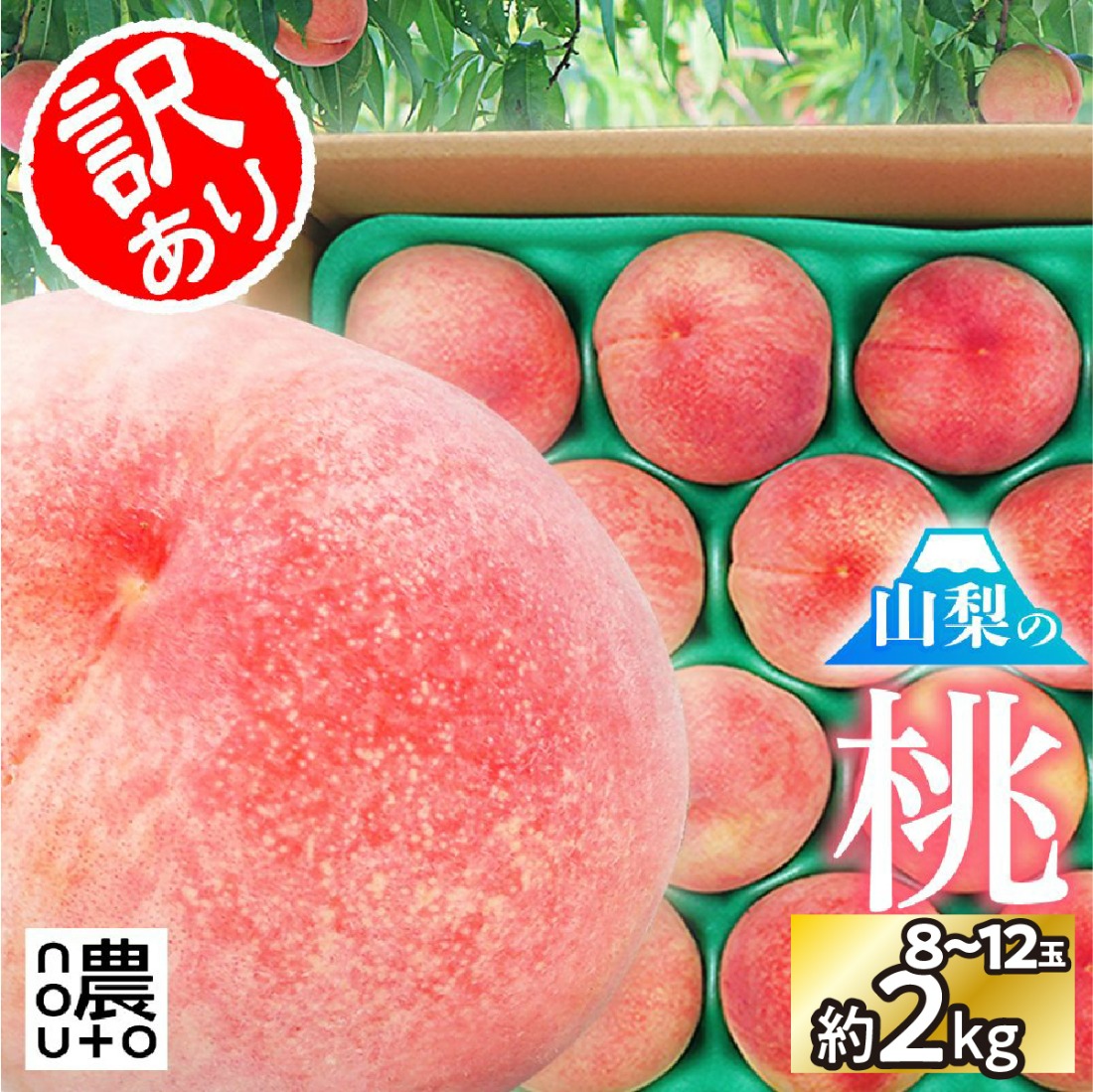 【2026年発送★先行予約】日本一の生産量 山梨県産 桃 訳あり 不揃い 大容量 8玉～12玉 約2kg ※クール便　154-031-26y