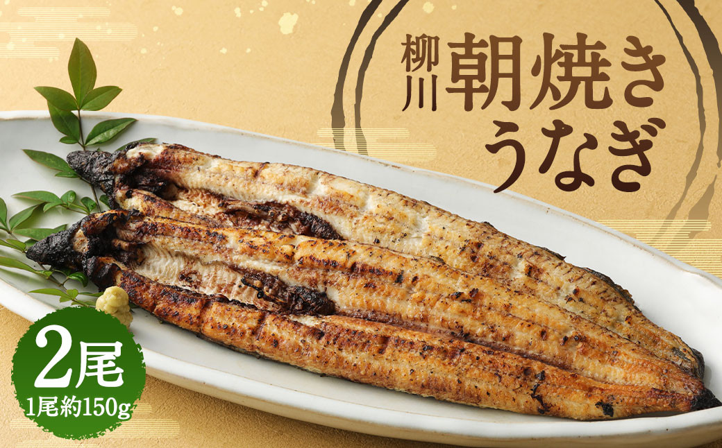 
柳川 朝焼きうなぎ 2尾入 約150g×2 合計約300g タレ・山椒3袋
