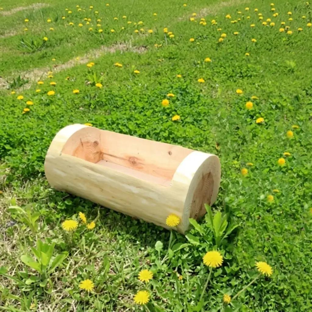 里山くらし応援 木工品 秋田杉の丸太プランター「生え杉くん（はえすぎくん）」横長タイプ 雑貨 日用品 ガーデニング用品 木製プランター 手作り 