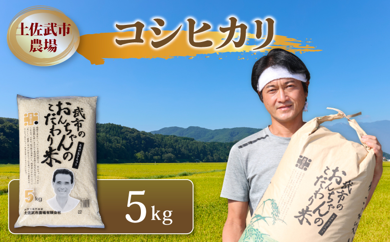 令和7年度 コシヒカリ 5キロ 数量限定 米 コメ お米 精米 ご飯 おにぎり こめ 白米 高知県 南国市