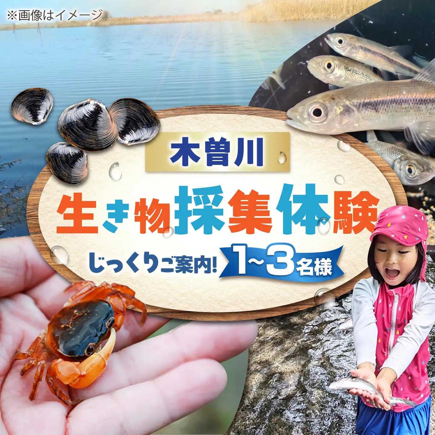 木曽川の生き物採集体験 1～3名まで 体験 チケット 採集 愛西市 / 艶麗[AEDD007]