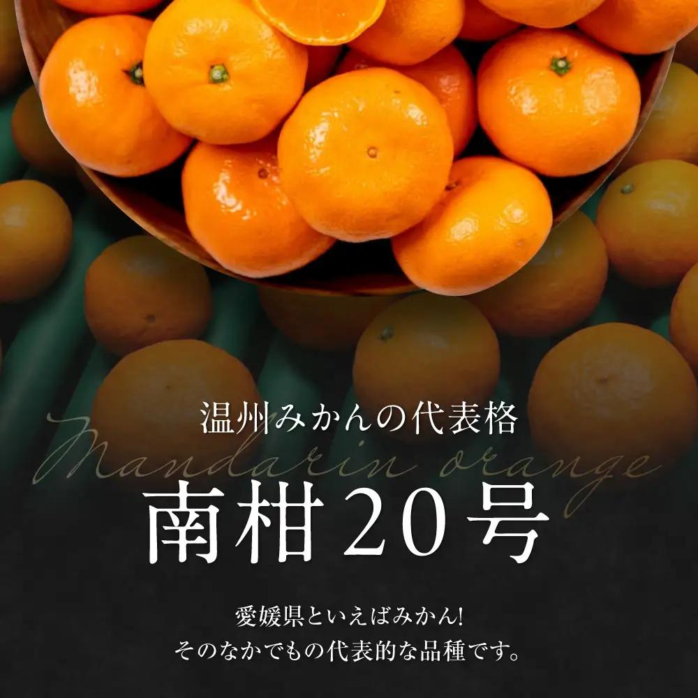 みかん 10kg（南柑20号）みかん[AGAO007]