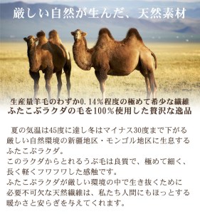 キャメル毛布 ミニひざ掛けサイズ [2168]