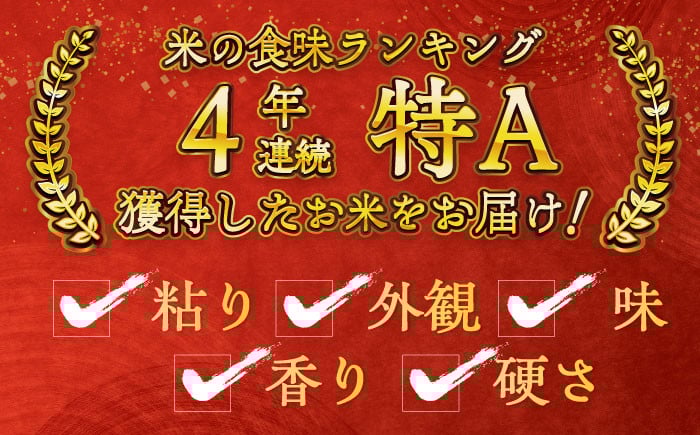 お米 米 ご飯 白米 白ご飯 ごはん コメ お弁当 精米 精白米 夢しずく 10㎏