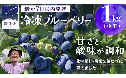 【 最短 7日以内 発送 】 冷凍 ブルーベリー 小玉 1kg  【 化学肥料 農薬 使わずに栽培 】 数量限定 小粒 国産 フルーツ スムージー 果物 くだもの 農家直送 スイーツ アイス ノーザンハイブッシュ系 ミックス [AT015tu]