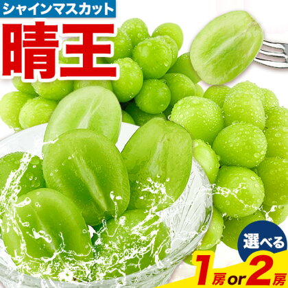 ぶどう [2026年先行予約] シャインマスカット 晴王 1房 約670g 岡山県産 2房 約1.1kg《9月上旬-10月末頃出荷(土日祝除く)》 ハレノフルーツ マスカット 送料無料 岡山県 浅口市 フルーツ 果物 贈り物 ギフト 国産 岡山県産 くだもの 青果物　【配送不可地域あり】