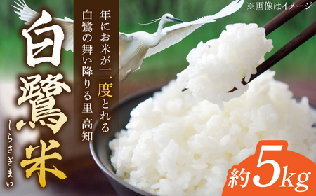 【先行予約】 農薬節減！ R7年度産 白鷺米 コシヒカリ 約5kg ＜2025年9月中旬から発送＞ / 高知 米 お米 精米　【津ノ宮農園】[ATBV019]