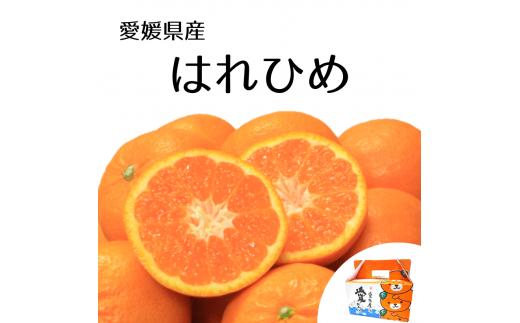 【2026年12月下旬頃から順次発送】はれひめ 約2.5kg みきゃん箱入 愛媛県産 柑橘 みかん 贈答 可愛い 愛媛県 松山市