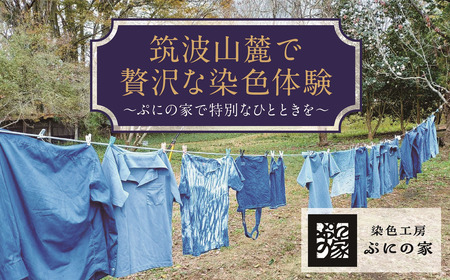 型染め体験　体験チケット　30,000円分【ぷにの家】【 茨城県 藍染 つくば市 体験ﾁｹｯﾄ 藍染 体験ﾁｹｯﾄ 染物 藍染 草木染 型染め 自然 古民家 SDGs 染料 季節 四季 藍染 体験ﾁｹｯﾄ 】