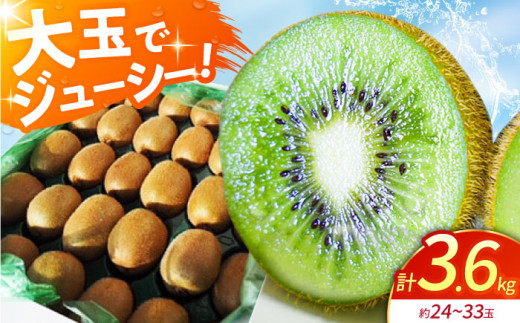 【先行予約】キウイ 佐賀県産 キウイフルーツ ( ヘイワード ) 3.6kg【JAさが】[HBZ001] /キウイ グリーンキウイ ヘイワード キウイフルーツ フルーツ 果物 きうい くだもの デザート 産地直送 数量限定 国産 送料無料 佐賀県 江北町