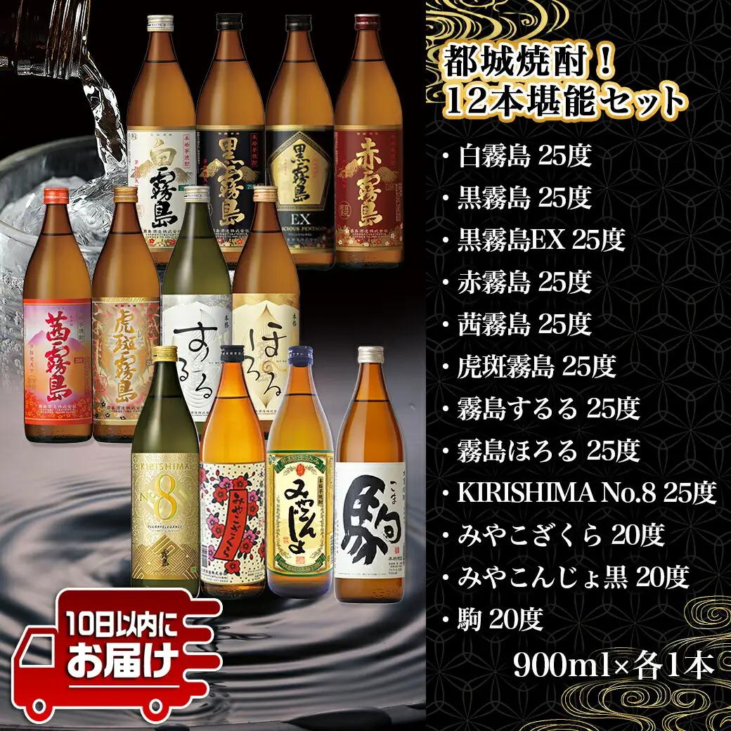 都城焼酎!12本堪能セット≪みやこんじょ特急便≫〔AG-2201〕_(都城市) 本格芋焼酎 麦焼酎 白霧島 黒霧島 黒霧島EX 赤霧島 茜霧島 虎斑霧島 霧島するる 霧島ほろる KIRISHIMA N